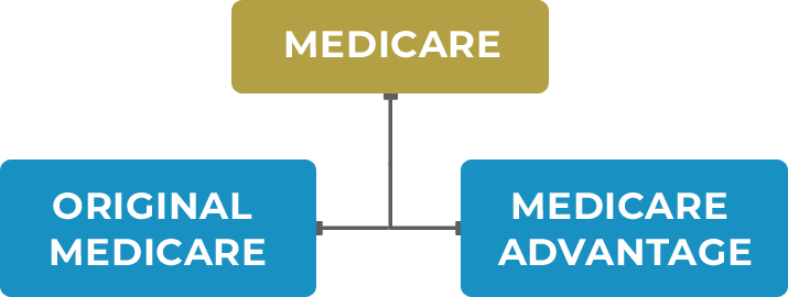 Medicare Coverage Categories