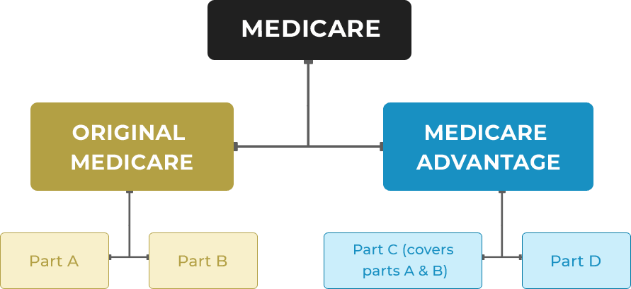 Medicare For Dummies Things You Need To Know